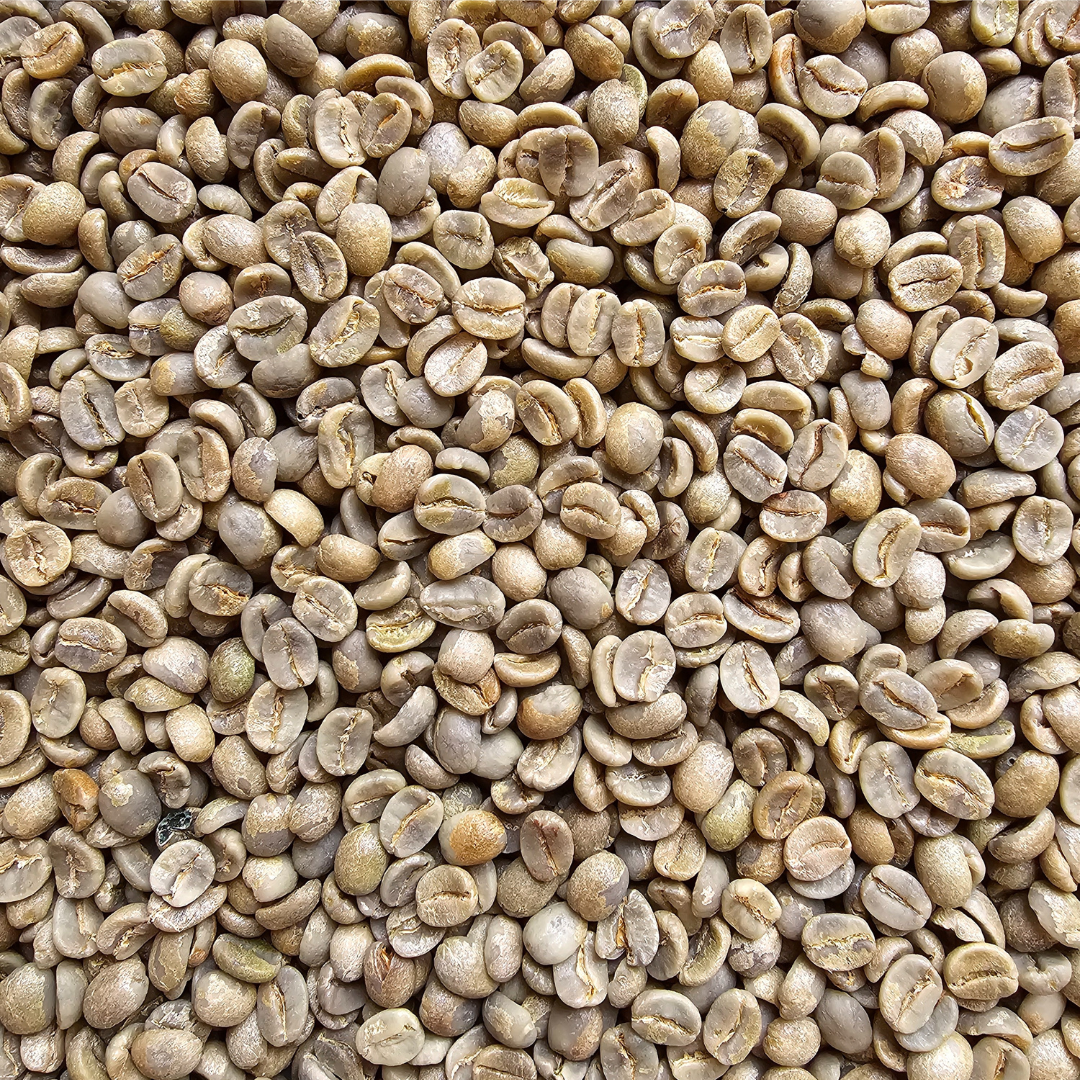 Green Coffee Arabica