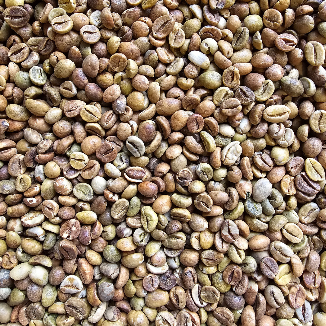 Green Coffee Robusta